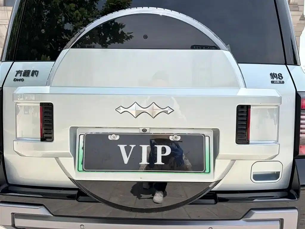 Leopard 8 2025 Smart & Brave Flagship Edition 7-Seater — миниатюра 26