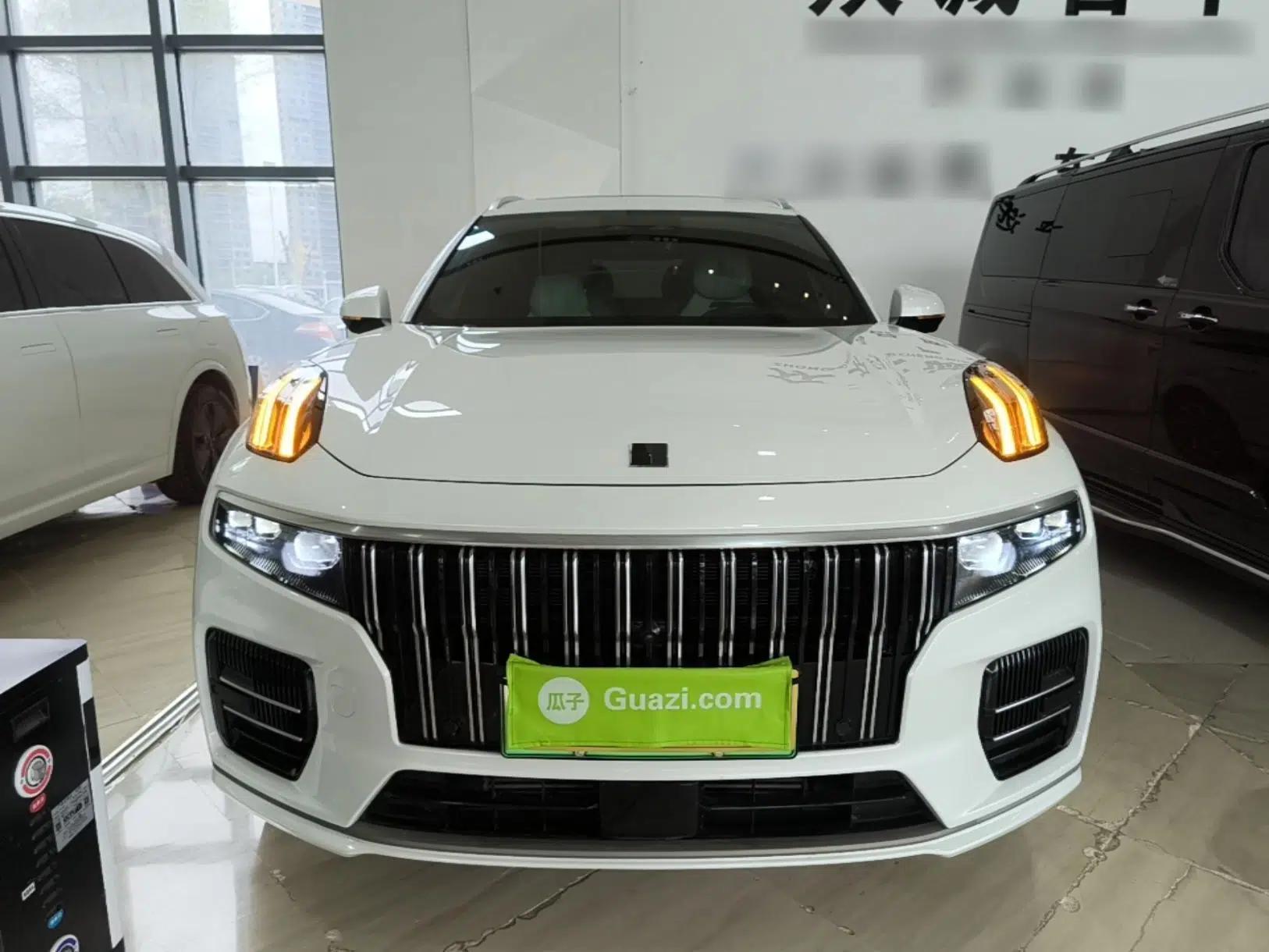 Lynk & Co 09 EM-P 2021 2.0T PHEV Ultra Six-Seater — миниатюра 2