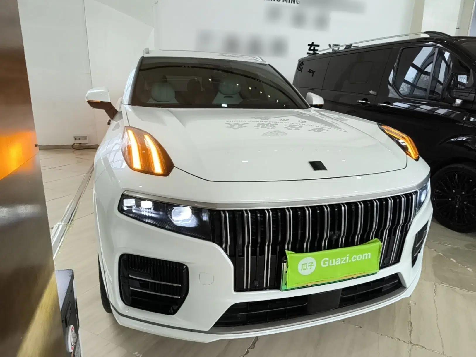 Lynk & Co 09 EM-P 2021 2.0T PHEV Ultra Six-Seater — миниатюра 6