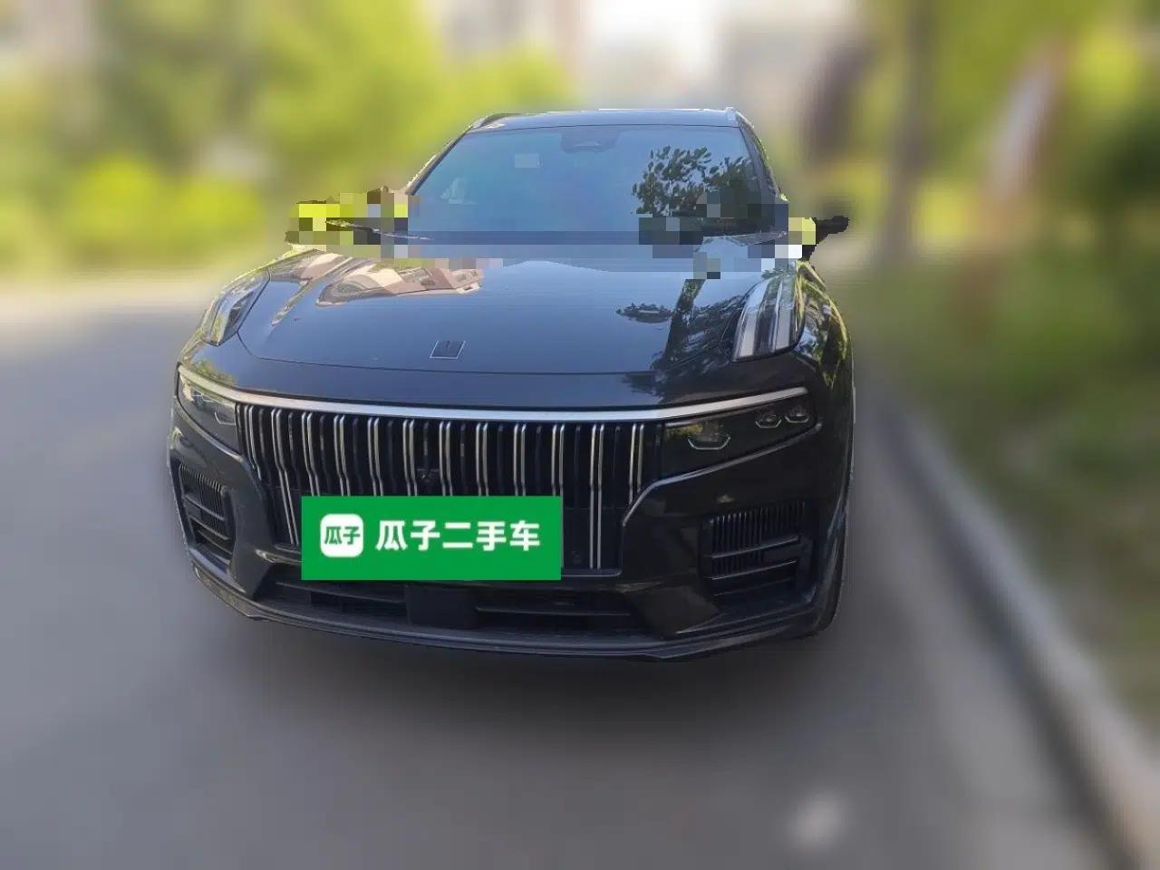 Lynk & Co 09 EM-P 2023 2.0TD EM-P Four-Wheel Drive Asian Games Executive Edition Five Seats — миниатюра 2