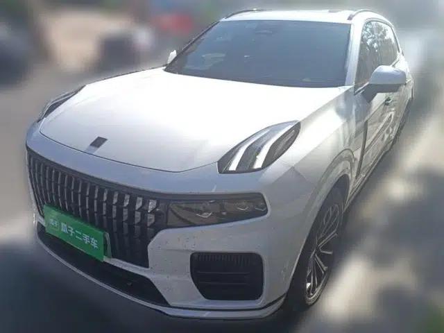 Lynk & Co 09 EM-P 2023 2.0TD EM-P Long-Range Version PM Six-Seater