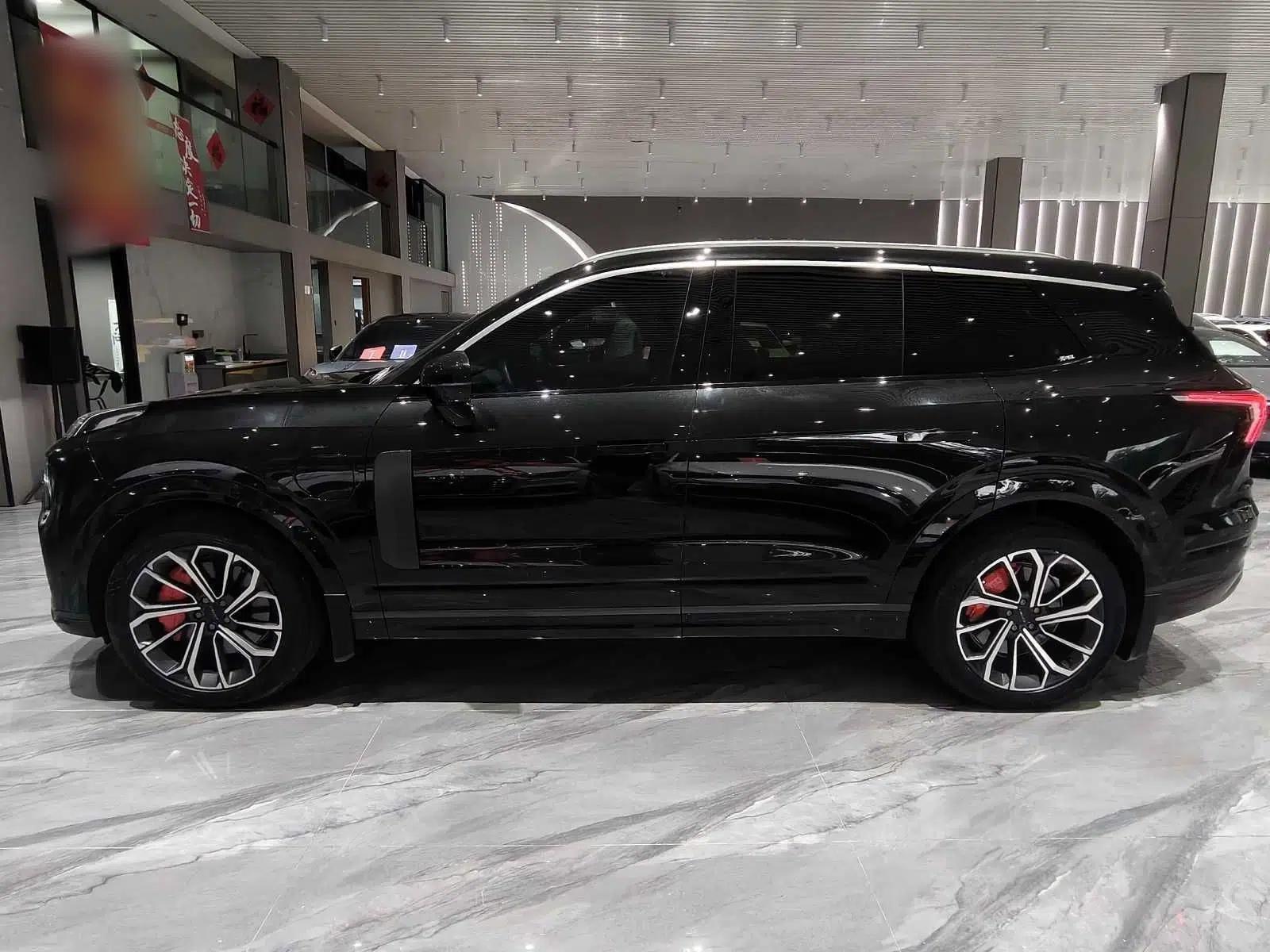 Lynk & Co 09 EM-P 2023 2.0TD EM-P Four-Wheel Drive Asian Games Executive Edition Five Seats — миниатюра 10