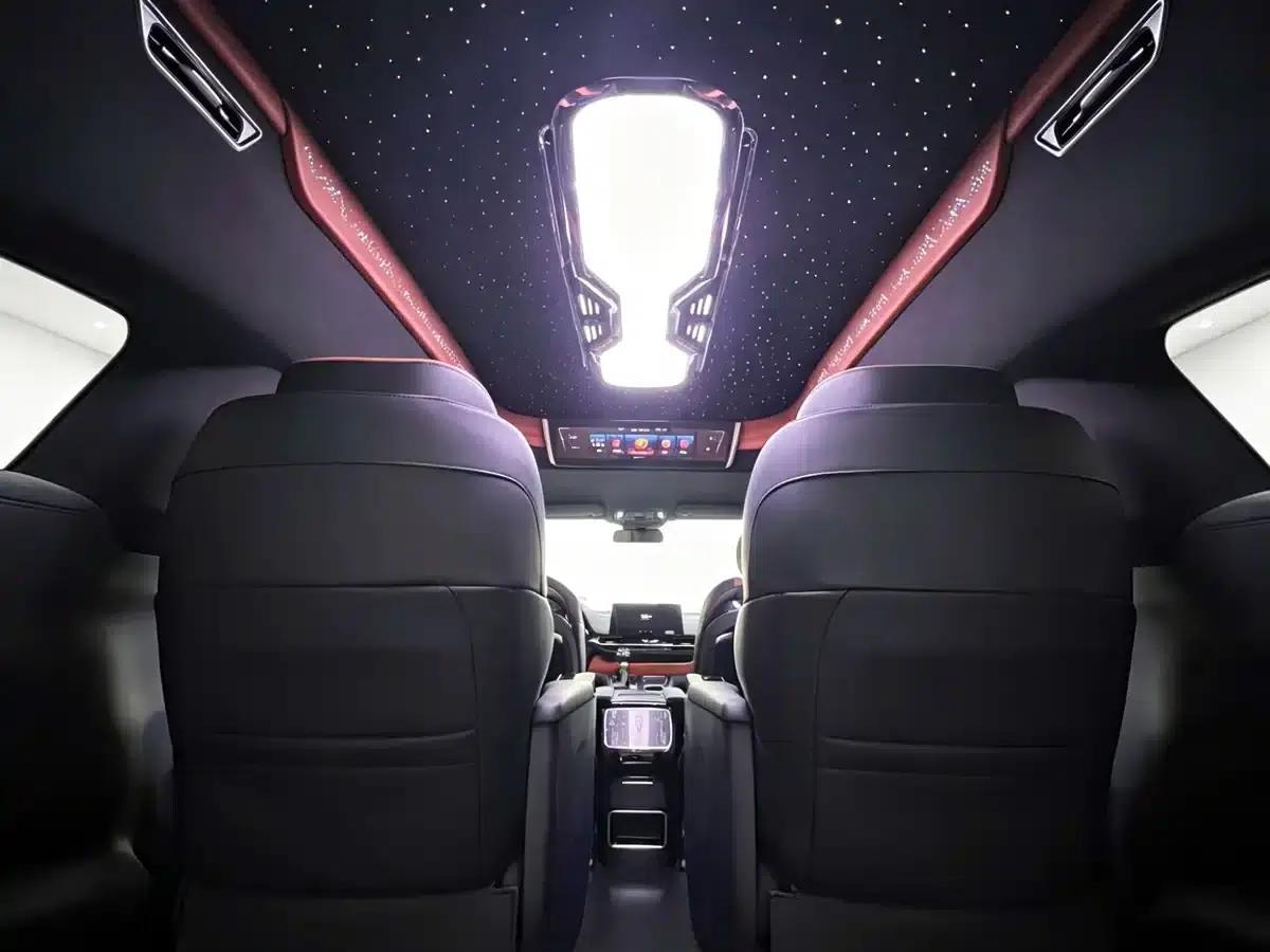 2026 Grevia 2.5L Hybrid Luxury Edition — миниатюра 10