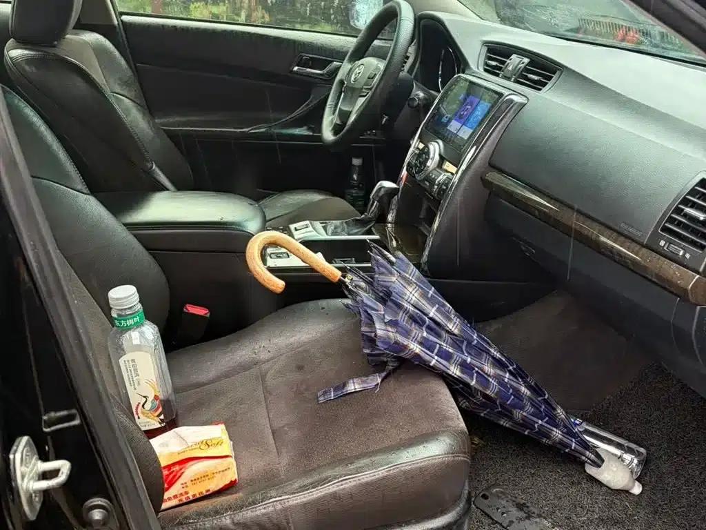 Reiz 2013 2.5V Premium Edition — миниатюра 8