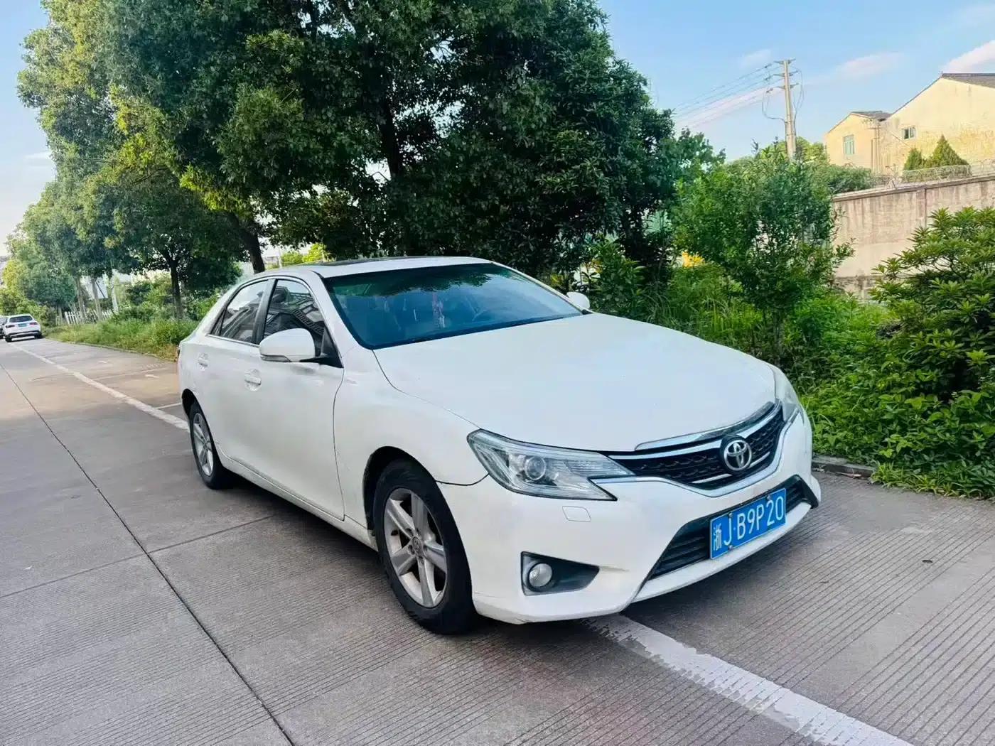 Reiz 2013 2.5V Elite Edition — миниатюра 3