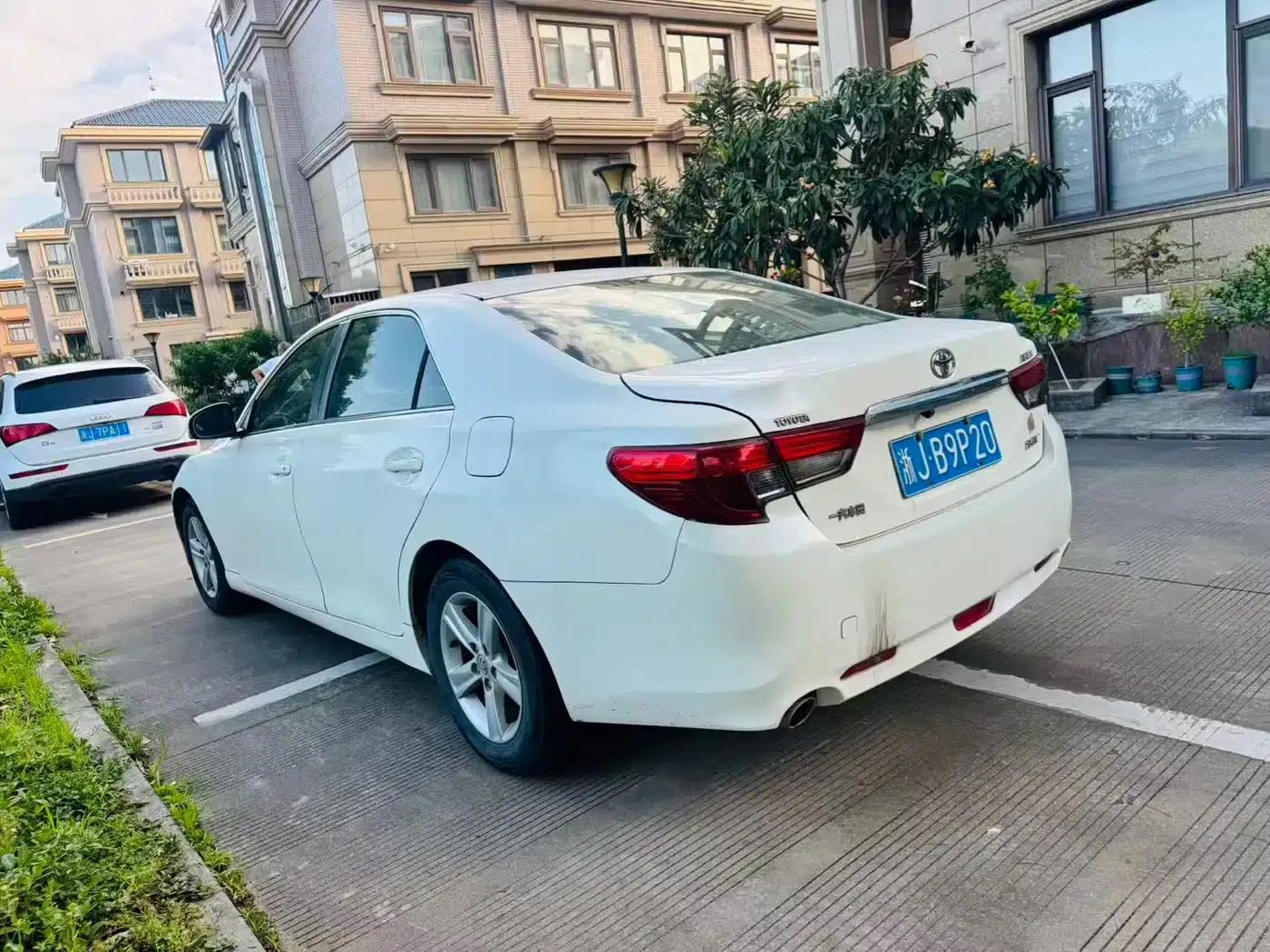 Reiz 2013 2.5V Elite Edition — миниатюра 7