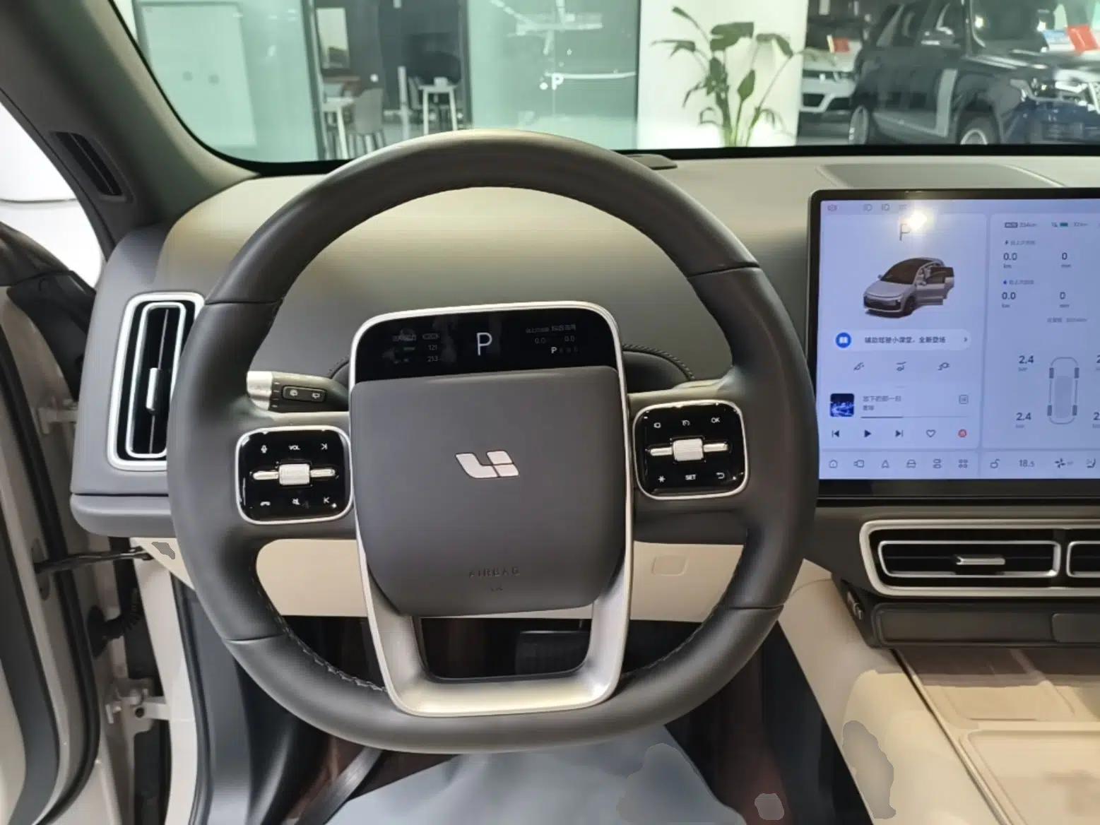 Li Auto L6 2024 Pro Model — миниатюра 14