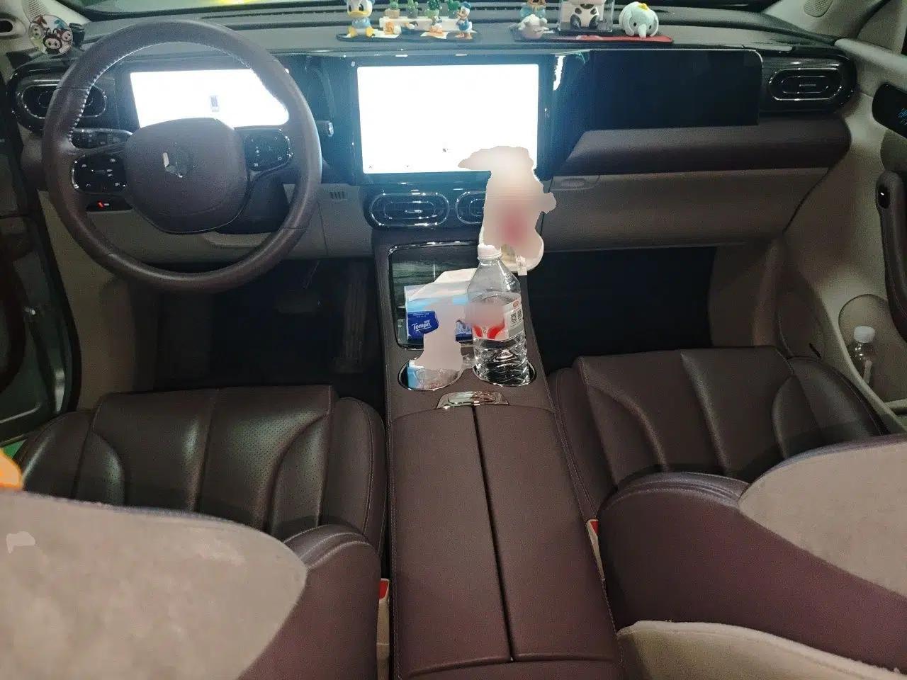 Leapmotor C11 2021 Deluxe Edition — миниатюра 10