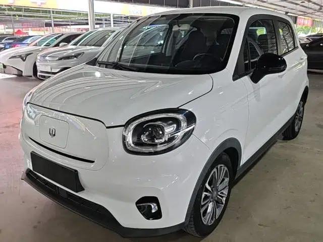 Leapmotor T03 2020 400 Lite Edition