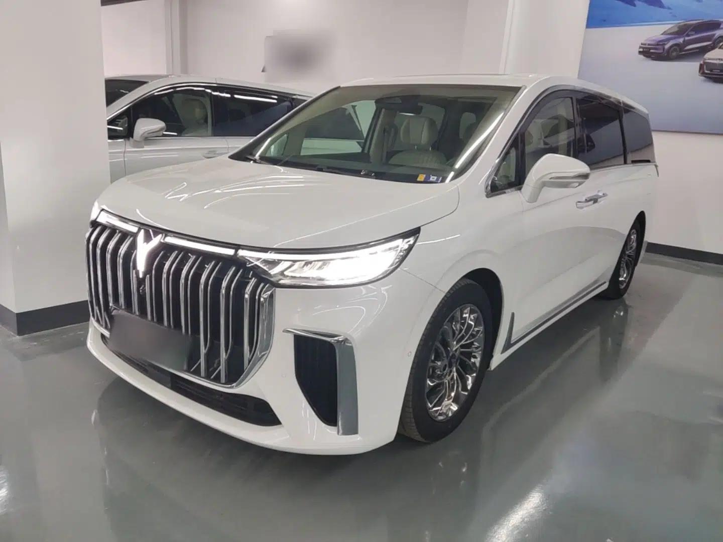 VOYAH Dream 2022 Low-Carbon Edition Dream+ Smart Enjoyment Package — миниатюра 1