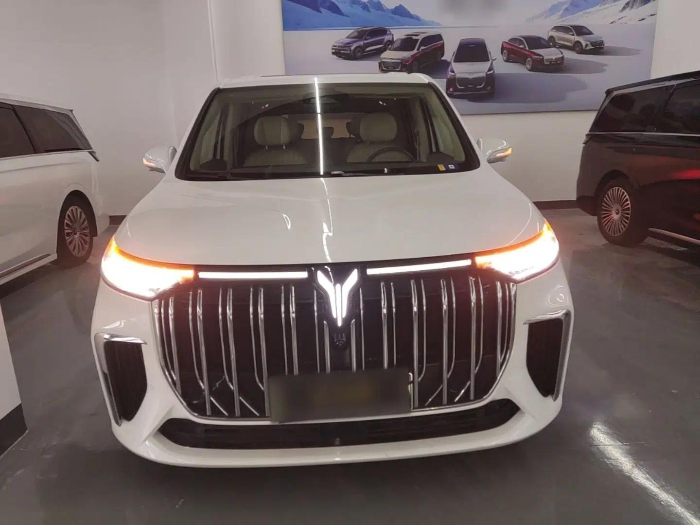 VOYAH Dream 2022 Low-Carbon Edition Dream+ Smart Enjoyment Package — миниатюра 2