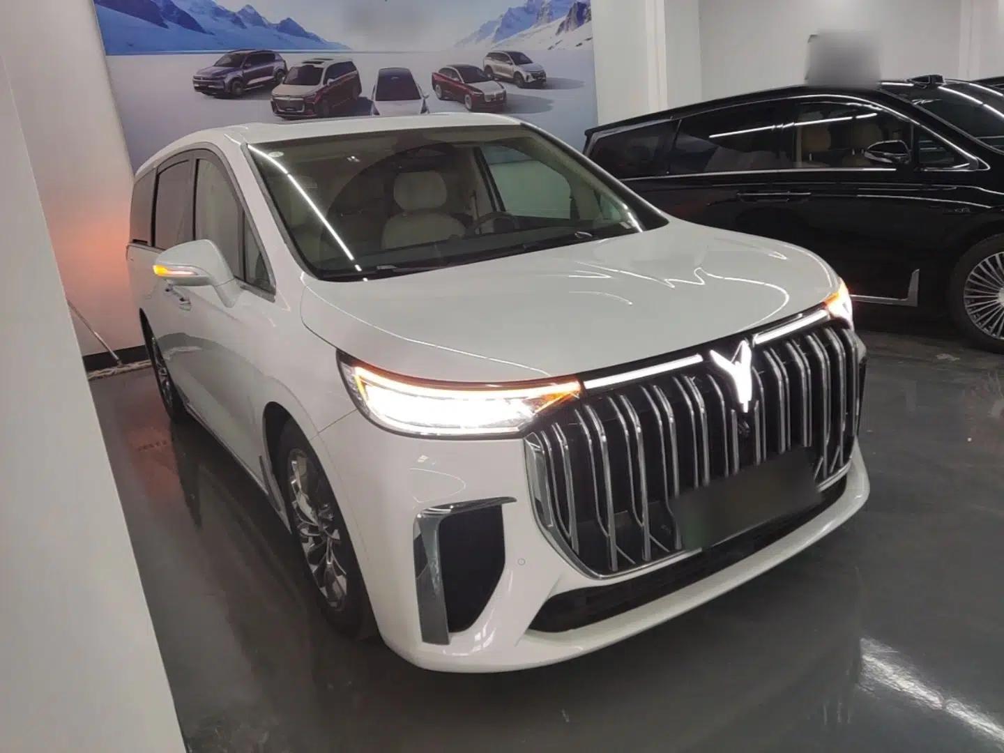 VOYAH Dream 2022 Low-Carbon Edition Dream+ Smart Enjoyment Package — миниатюра 6
