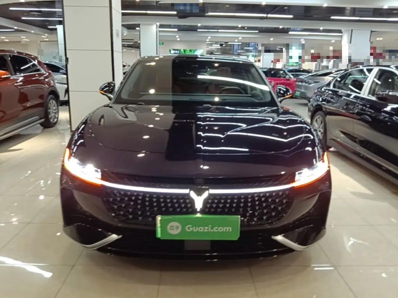 VOYAH PASSION 2024 PHEV Four-Wheel Drive Ultra-Long Range Flagship Model — миниатюра 2