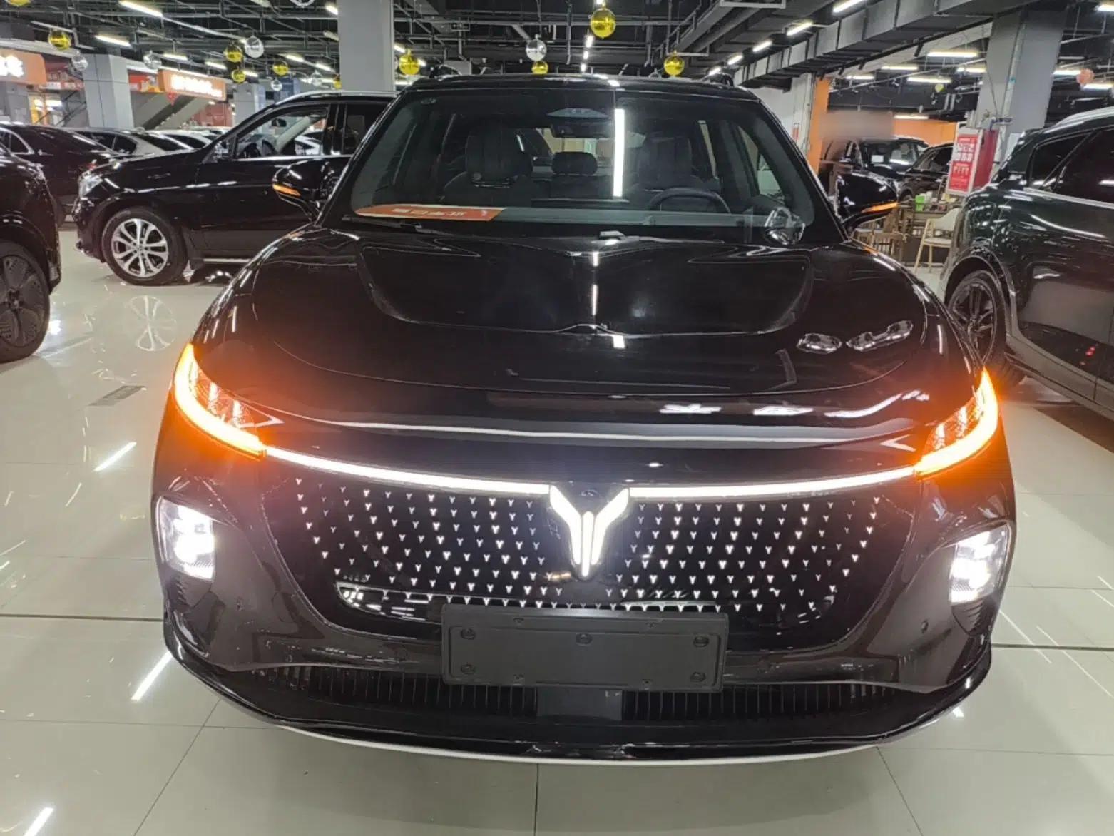 VOYAH COURAGE 2024 Four-Wheel Drive Global Edition — миниатюра 2