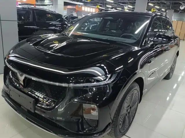 VOYAH COURAGE 2024 Four-Wheel Drive Global Edition
