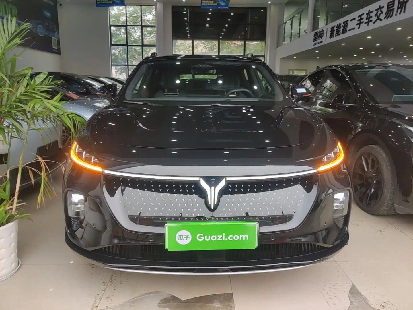 VOYAH COURAGE 2024 Four-Wheel Drive Global Edition — миниатюра 2