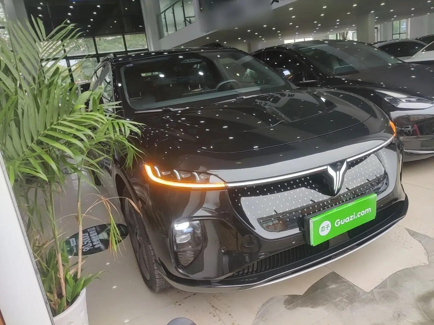VOYAH COURAGE 2024 Four-Wheel Drive Global Edition — миниатюра 3