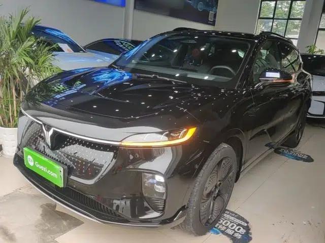 VOYAH COURAGE 2024 Four-Wheel Drive Global Edition