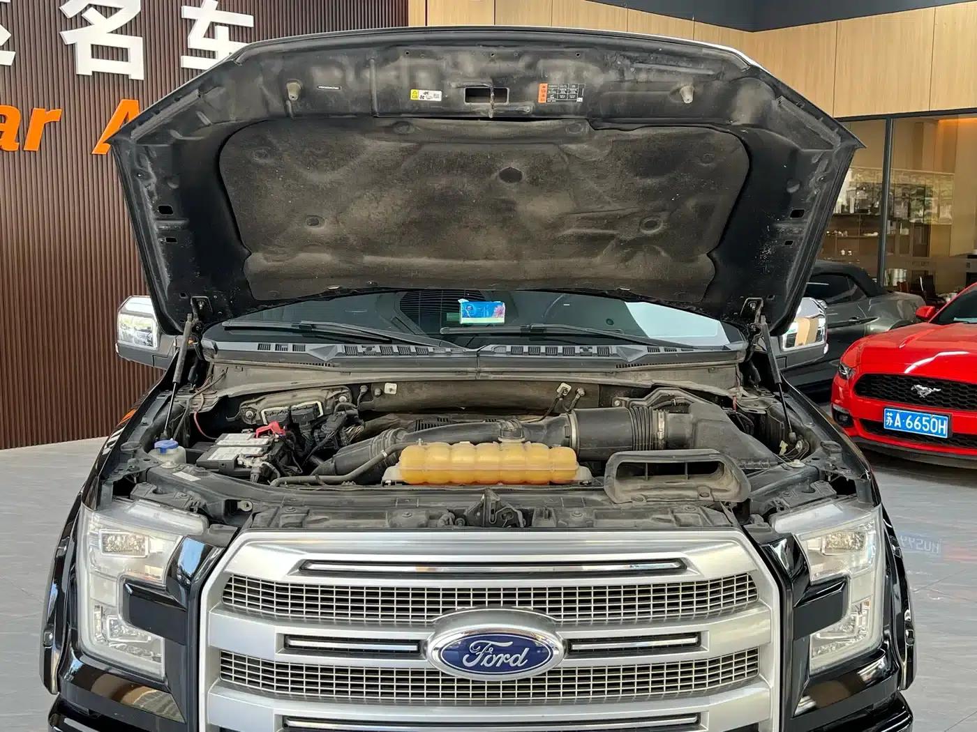 2017 Ford F-150 Raptor 3.5T Raptor Performance Enhanced Edition — миниатюра 29