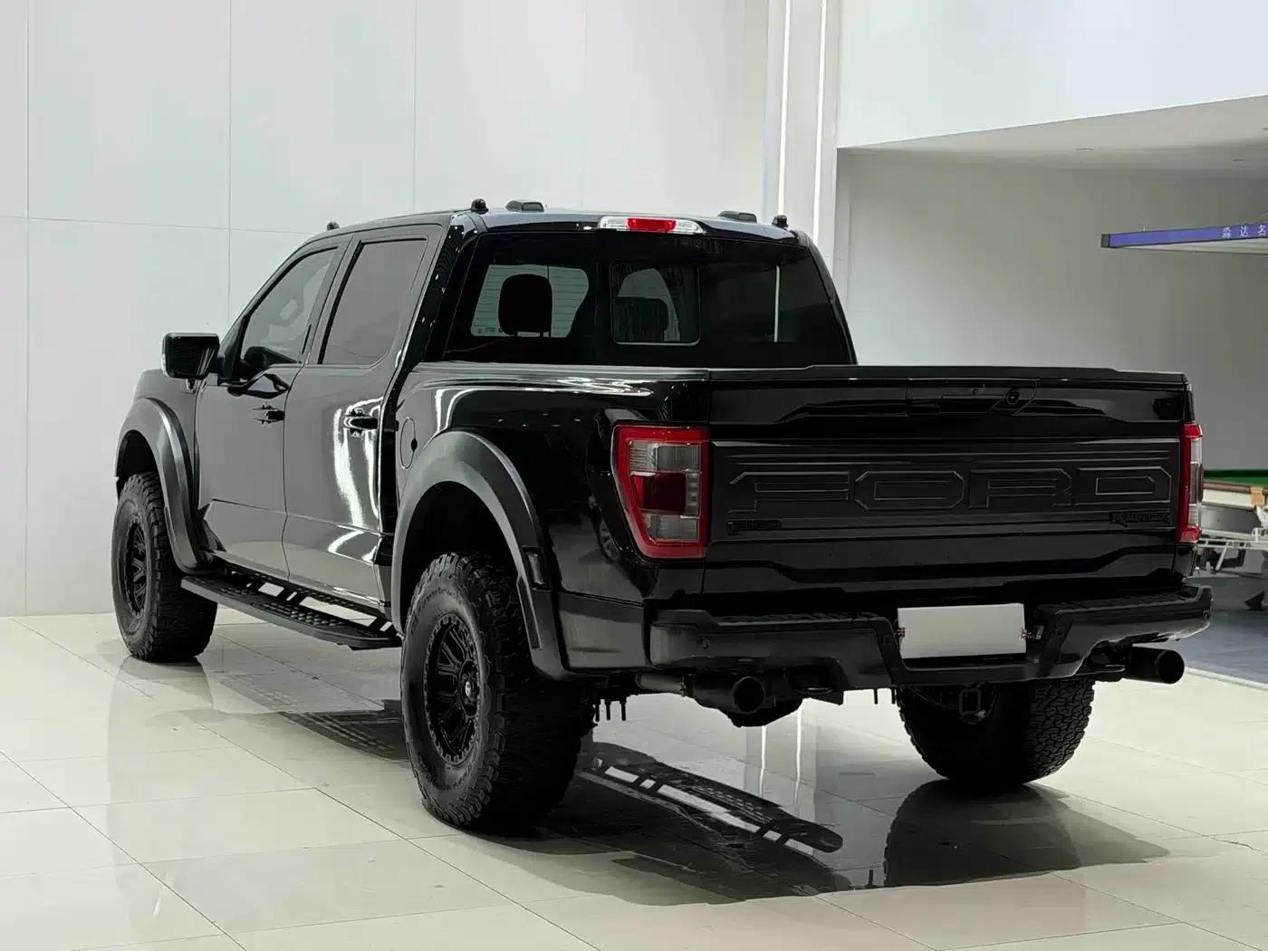 Ford F-150 2022 3.5T Platinum Edition — миниатюра 18