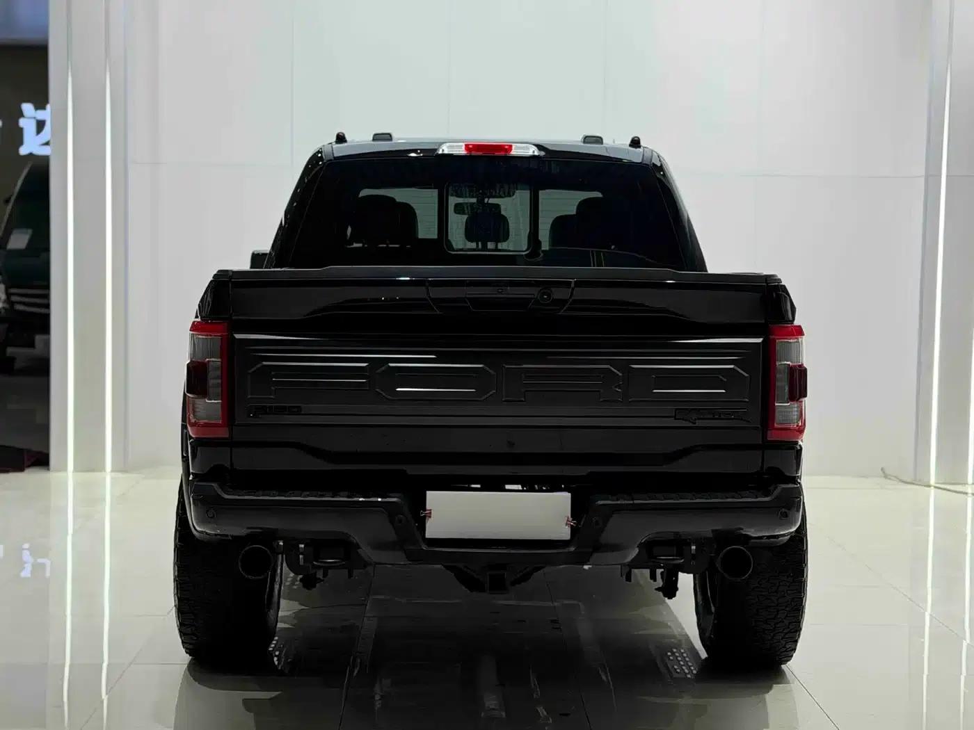 Ford F-150 2022 3.5T Platinum Edition — миниатюра 19