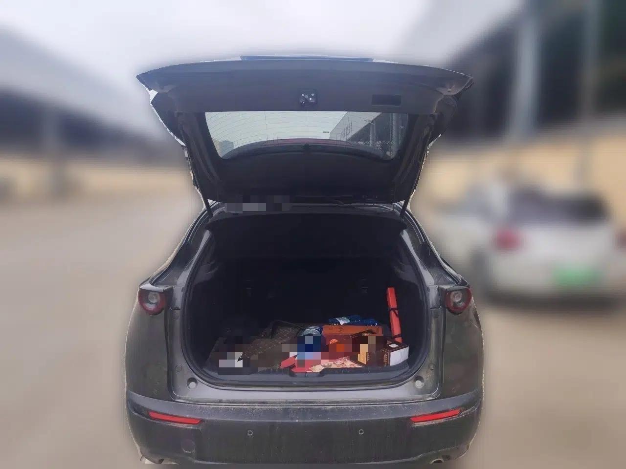 Mazda CX-30 2020 2.0L Automatic Zhiyue Trim — миниатюра 20