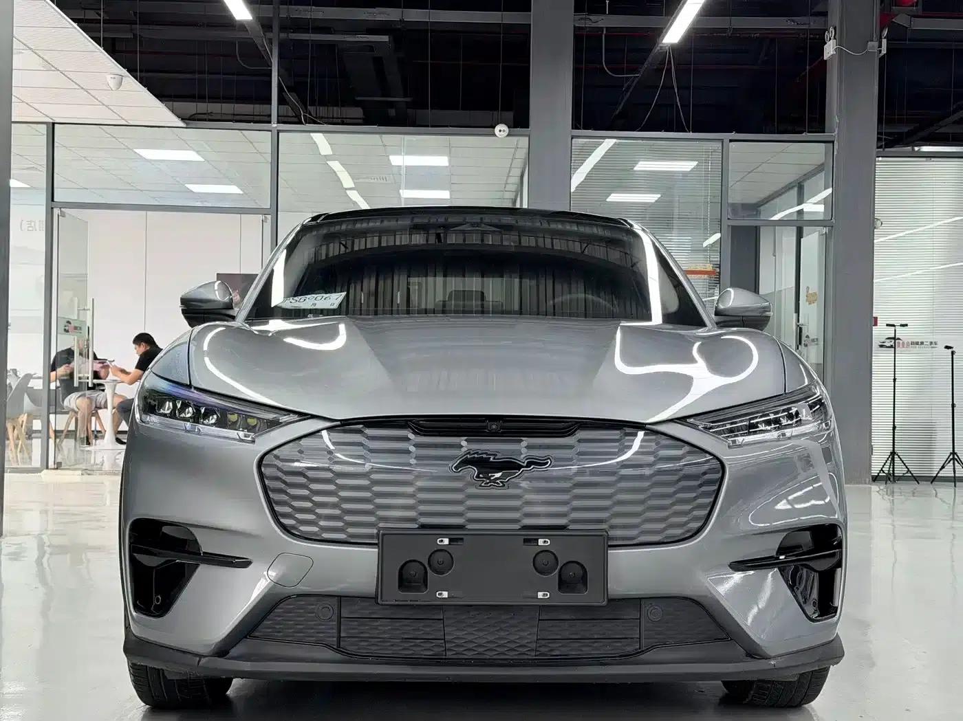 Ford Electric 2021 Model X Rear-Wheel Drive Standard Range — миниатюра 2