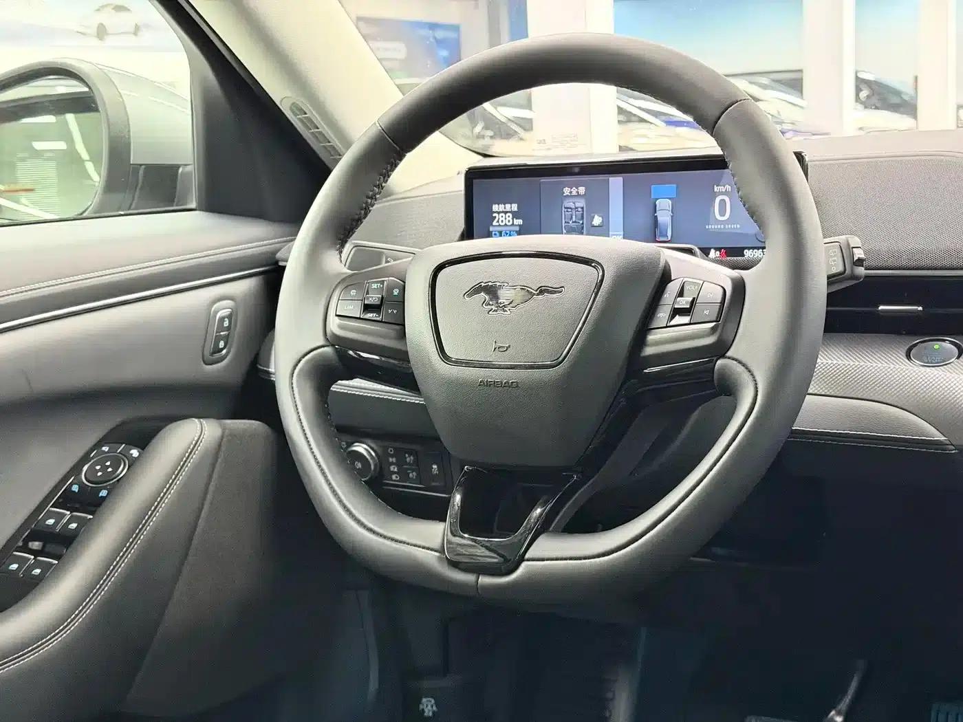 Ford Electric 2021 Model X Rear-Wheel Drive Standard Range — миниатюра 3