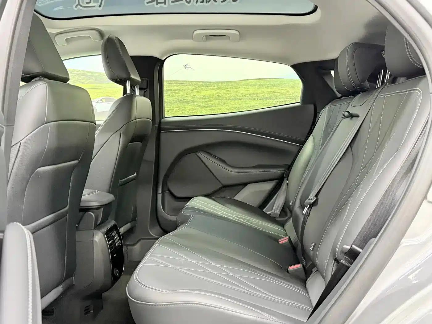 Ford Electric 2021 Model X Rear-Wheel Drive Standard Range — миниатюра 5