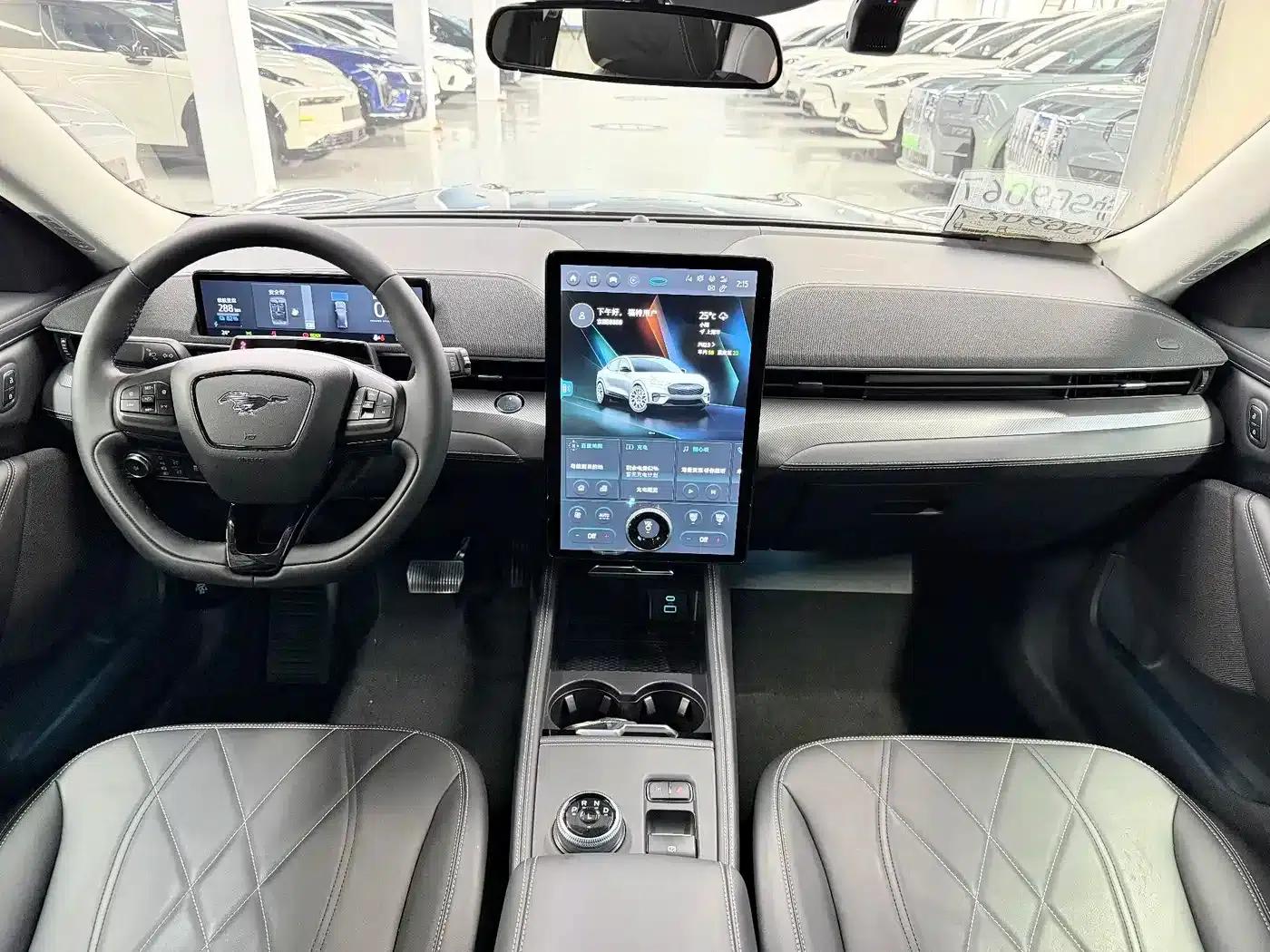 Ford Electric 2021 Model X Rear-Wheel Drive Standard Range — миниатюра 7