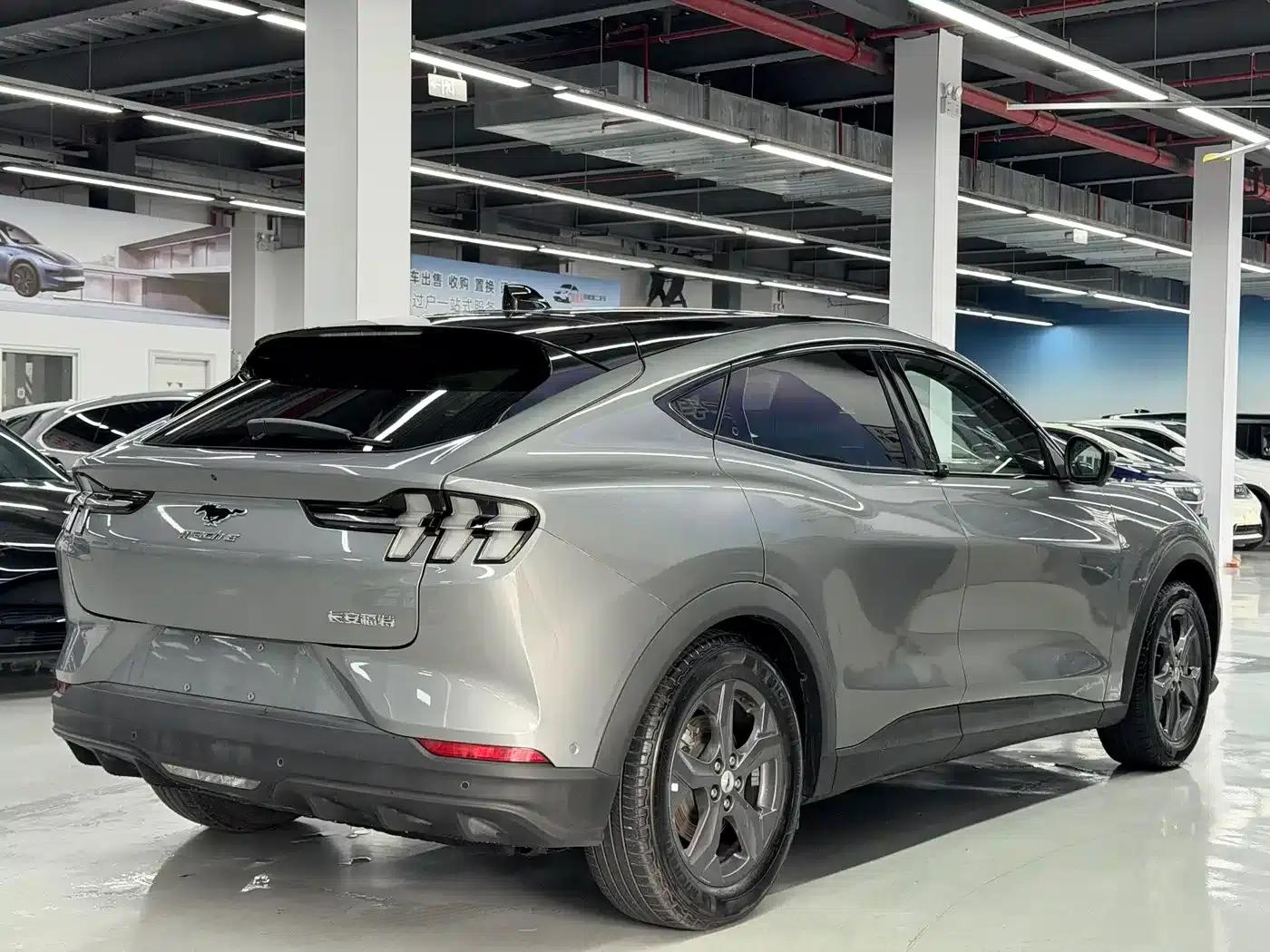 Ford Electric 2021 Model X Rear-Wheel Drive Standard Range — миниатюра 9