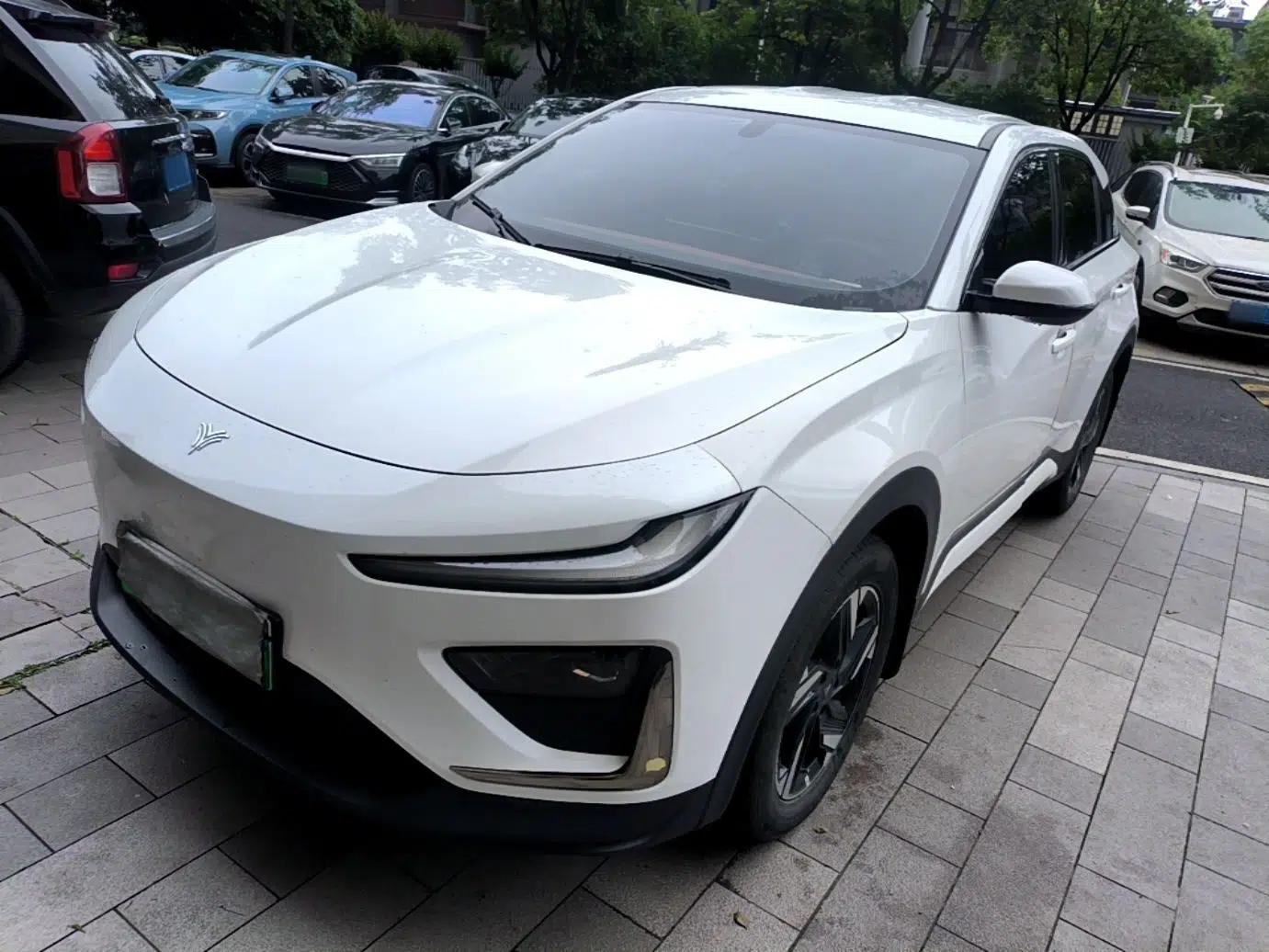 NETA X 2023 500 Lite — миниатюра 1