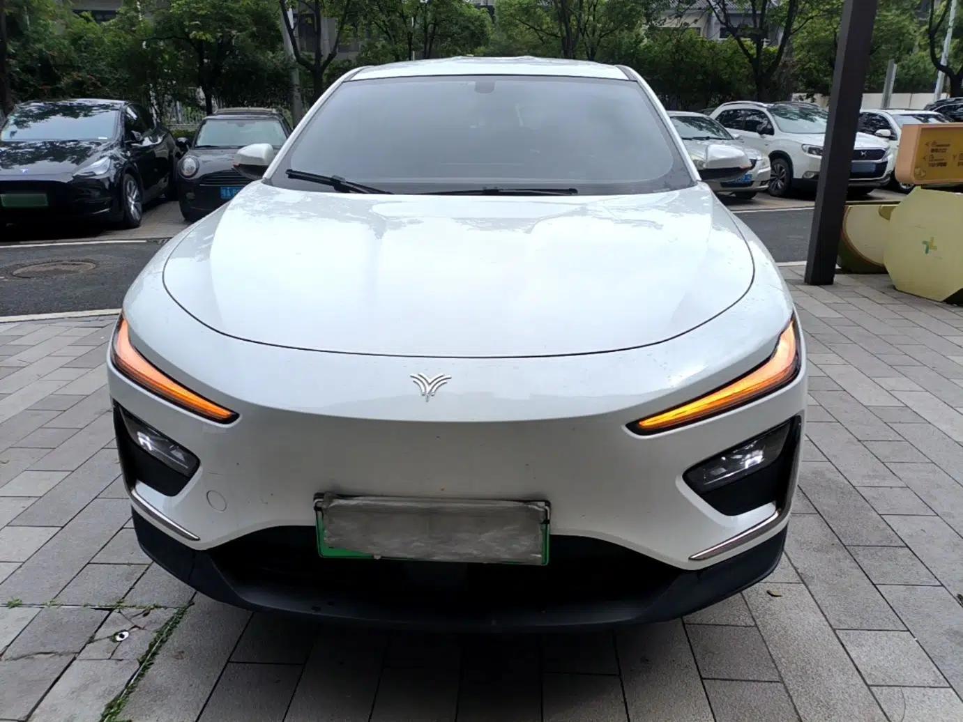 NETA X 2023 500 Lite — миниатюра 2