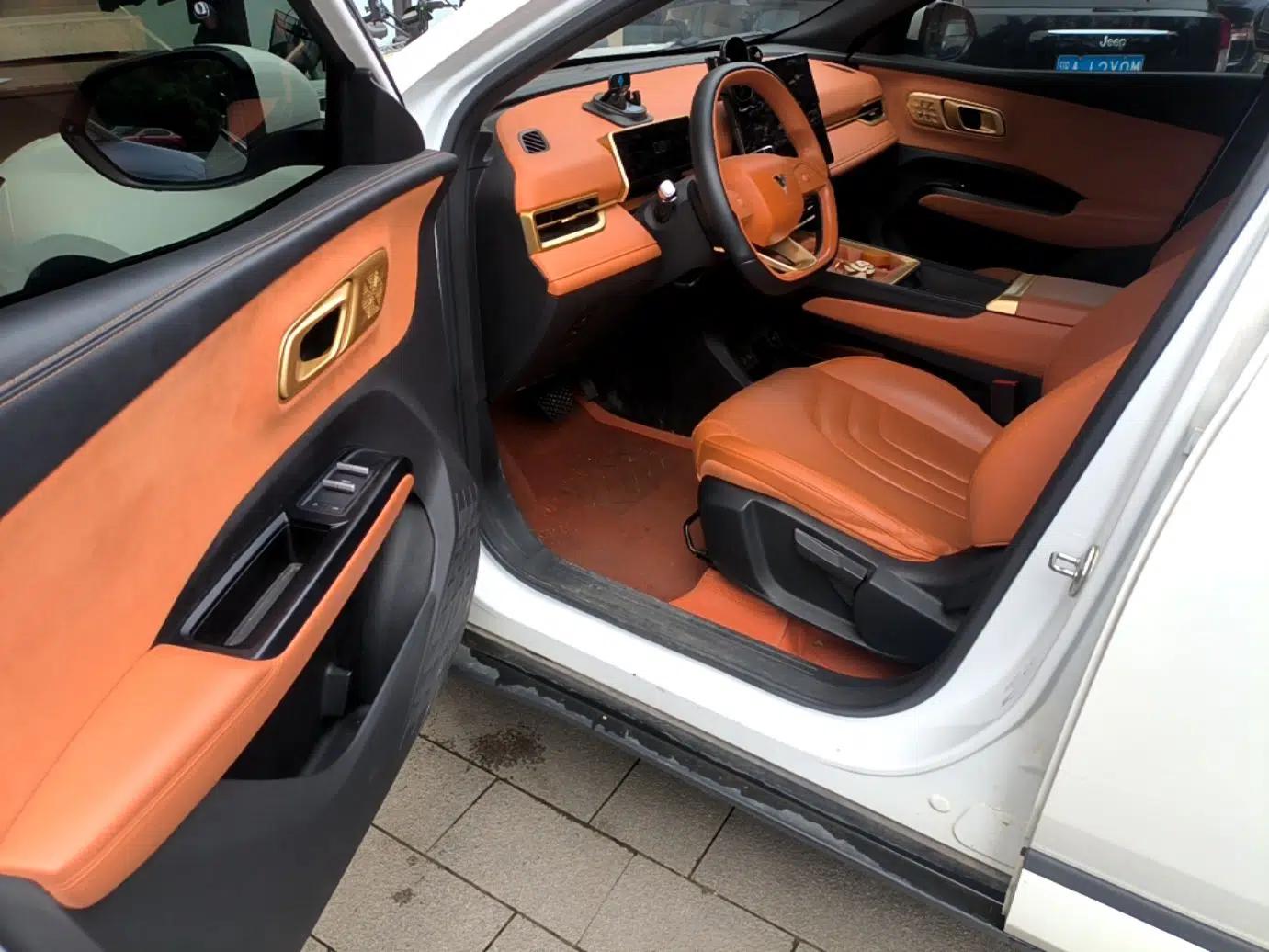 NETA X 2023 500 Lite — миниатюра 18