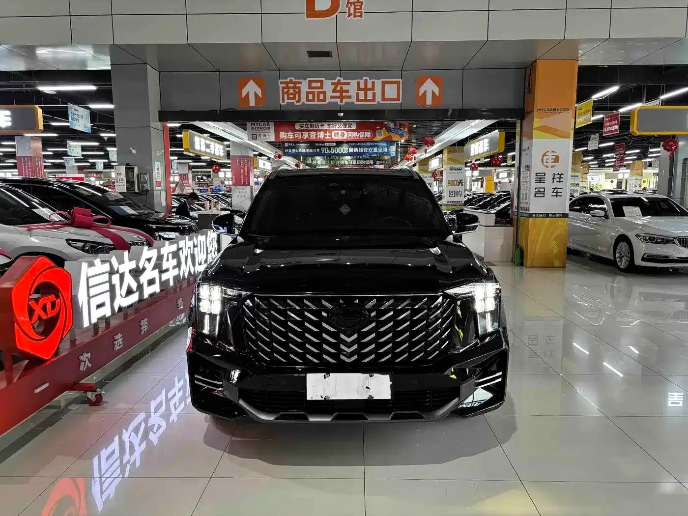 Trumpchi GS8 2022 Navigator Series 2.0TGDI 2WD Premium Edition (7-seater) — миниатюра 2