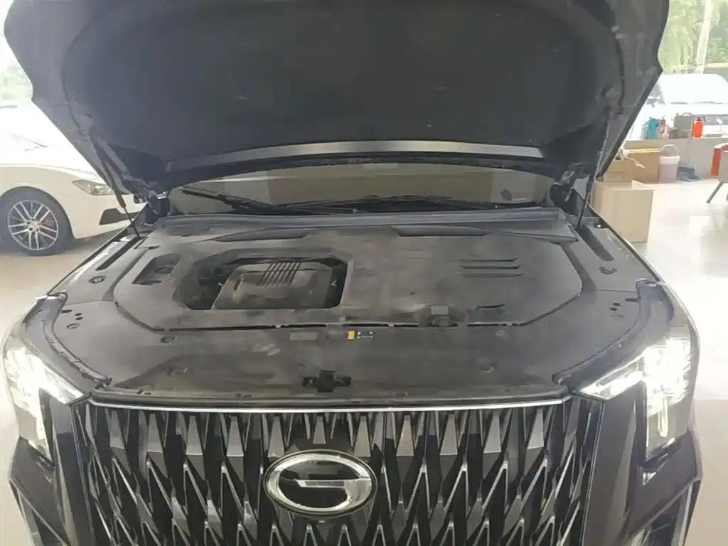 Trumpchi GS8 2022 Hybrid Series 2.0TM 2WD Premium Edition (7-seater) — миниатюра 20