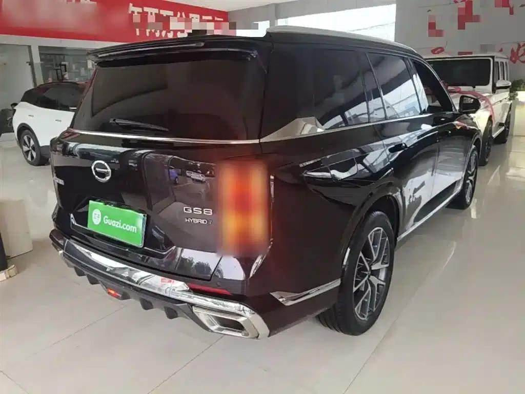Trumpchi GS8 2022 Hybrid Series 2.0TM 2WD Premium Edition (7-seater) — миниатюра 7