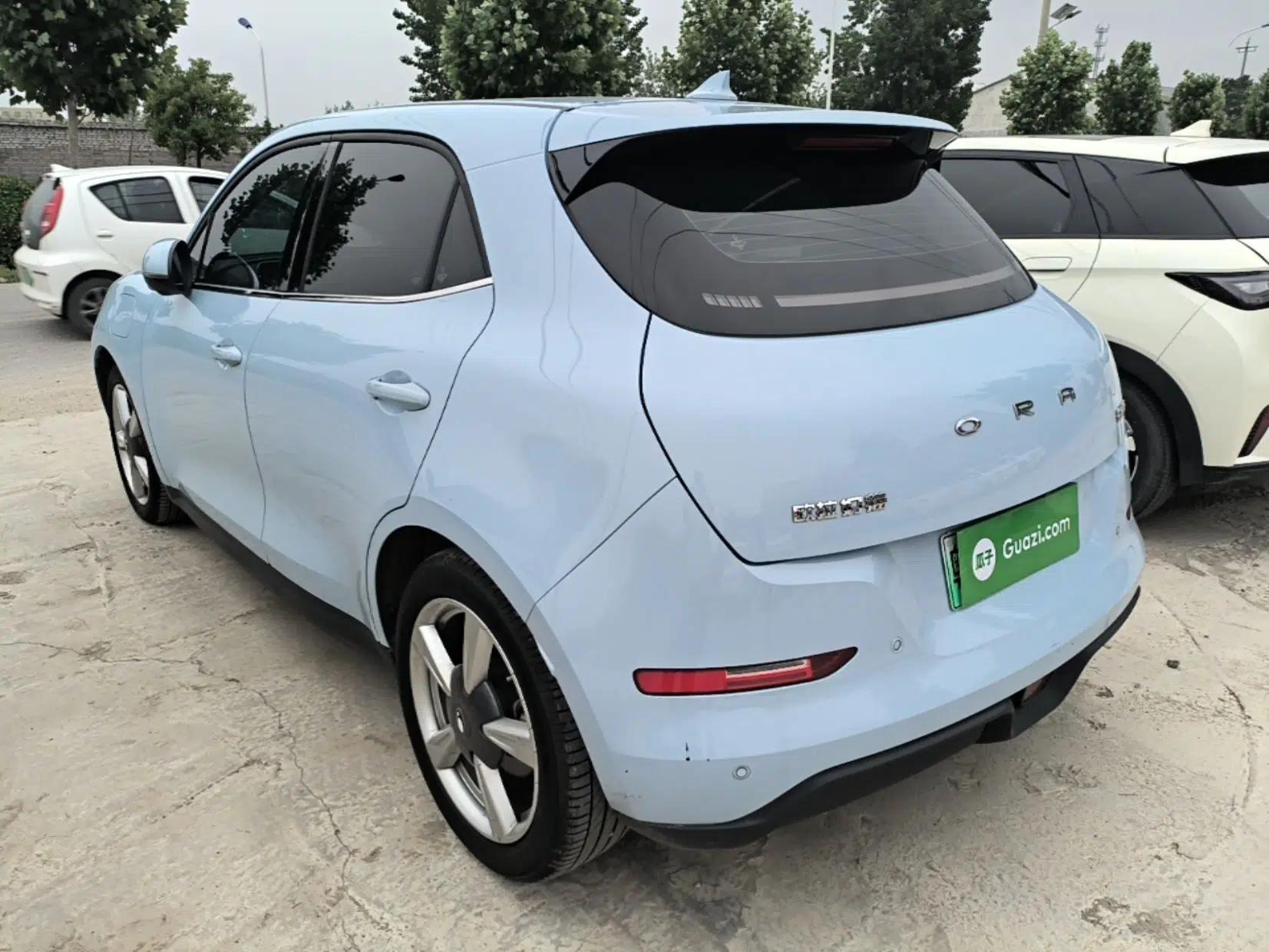 ORA Good Cat 2022 Morandi Edition 400km Standard Range Premium Version Lithium Iron Phosphate — миниатюра 4