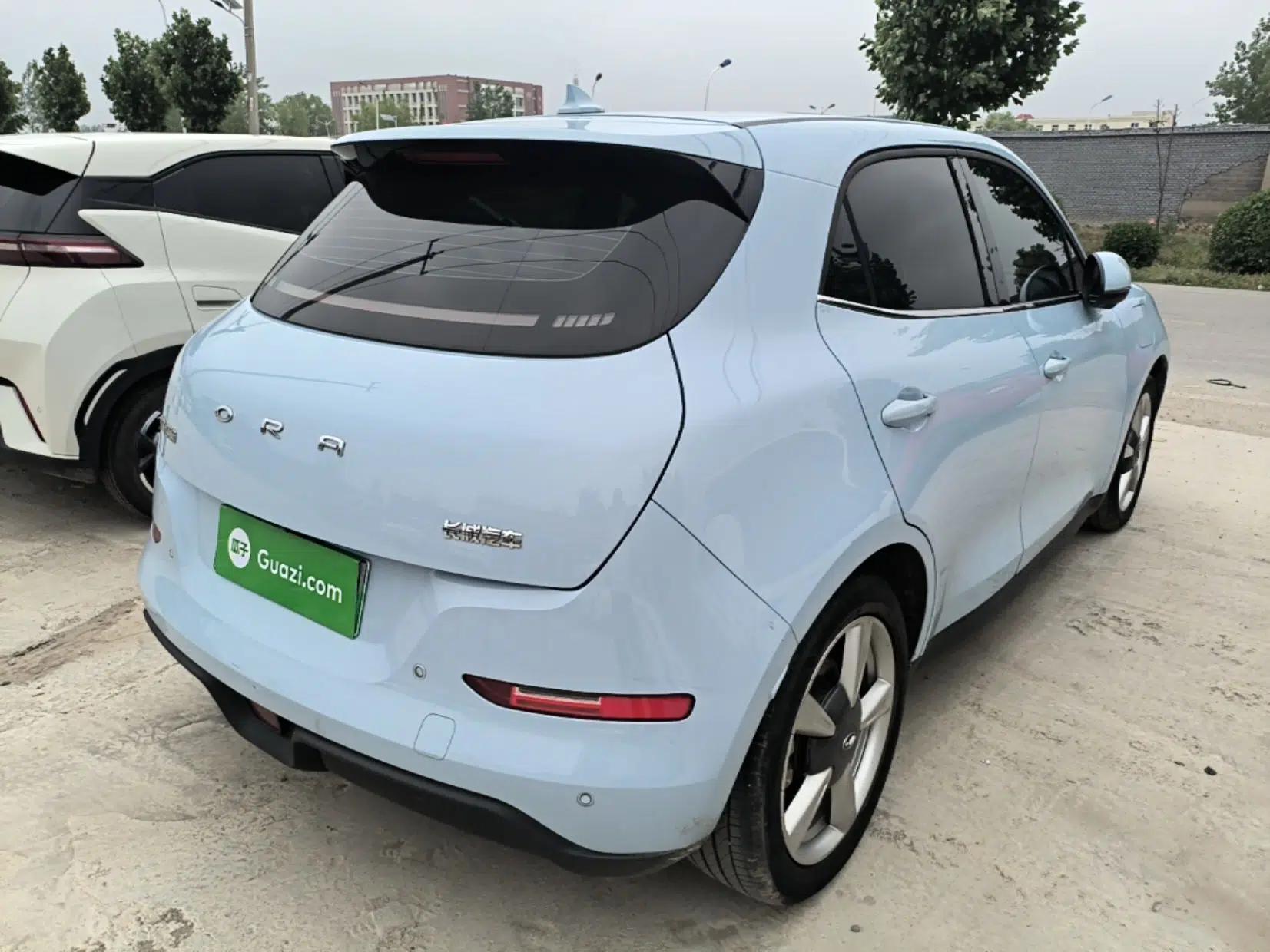 ORA Good Cat 2022 Morandi Edition 400km Standard Range Premium Version Lithium Iron Phosphate — миниатюра 6