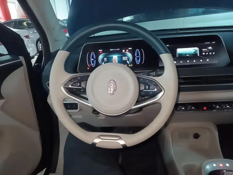 ORA Good Cat 2022 400km Standard Range Luxury Version Lithium Iron Phosphate — миниатюра 13