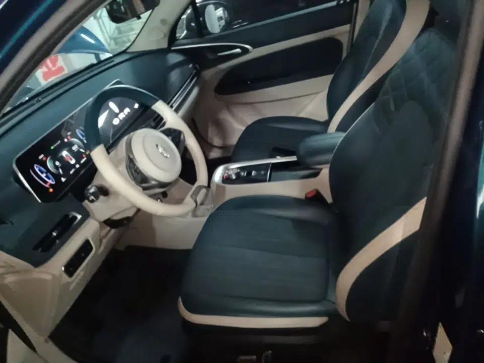 ORA Good Cat 2022 400km Standard Range Luxury Version Lithium Iron Phosphate — миниатюра 17