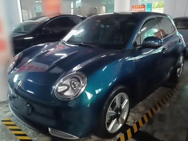 ORA Good Cat 2022 400km Standard Range Luxury Version Lithium Iron Phosphate