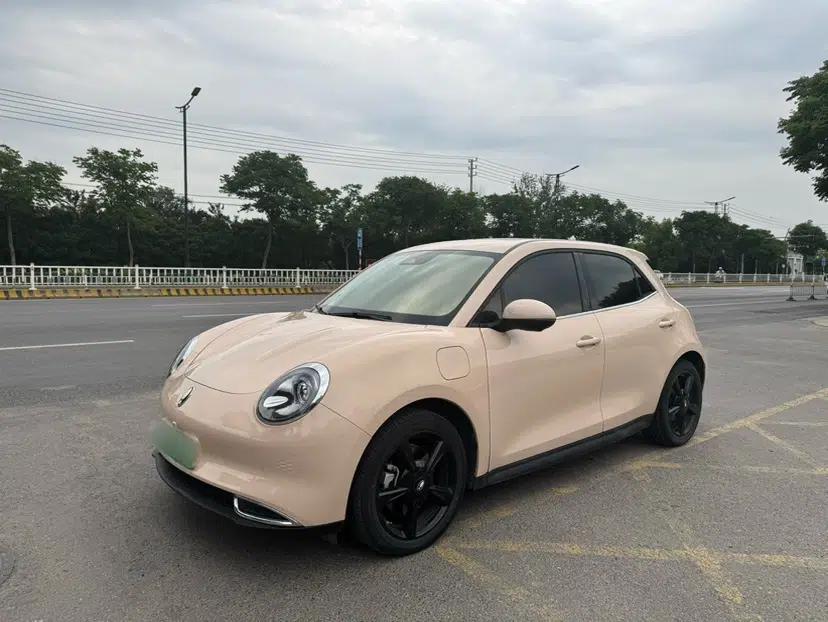 ORA Good Cat 2024 501 km Luxury Version — миниатюра 1