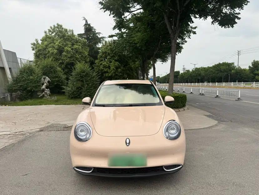 ORA Good Cat 2024 501 km Luxury Version — миниатюра 11