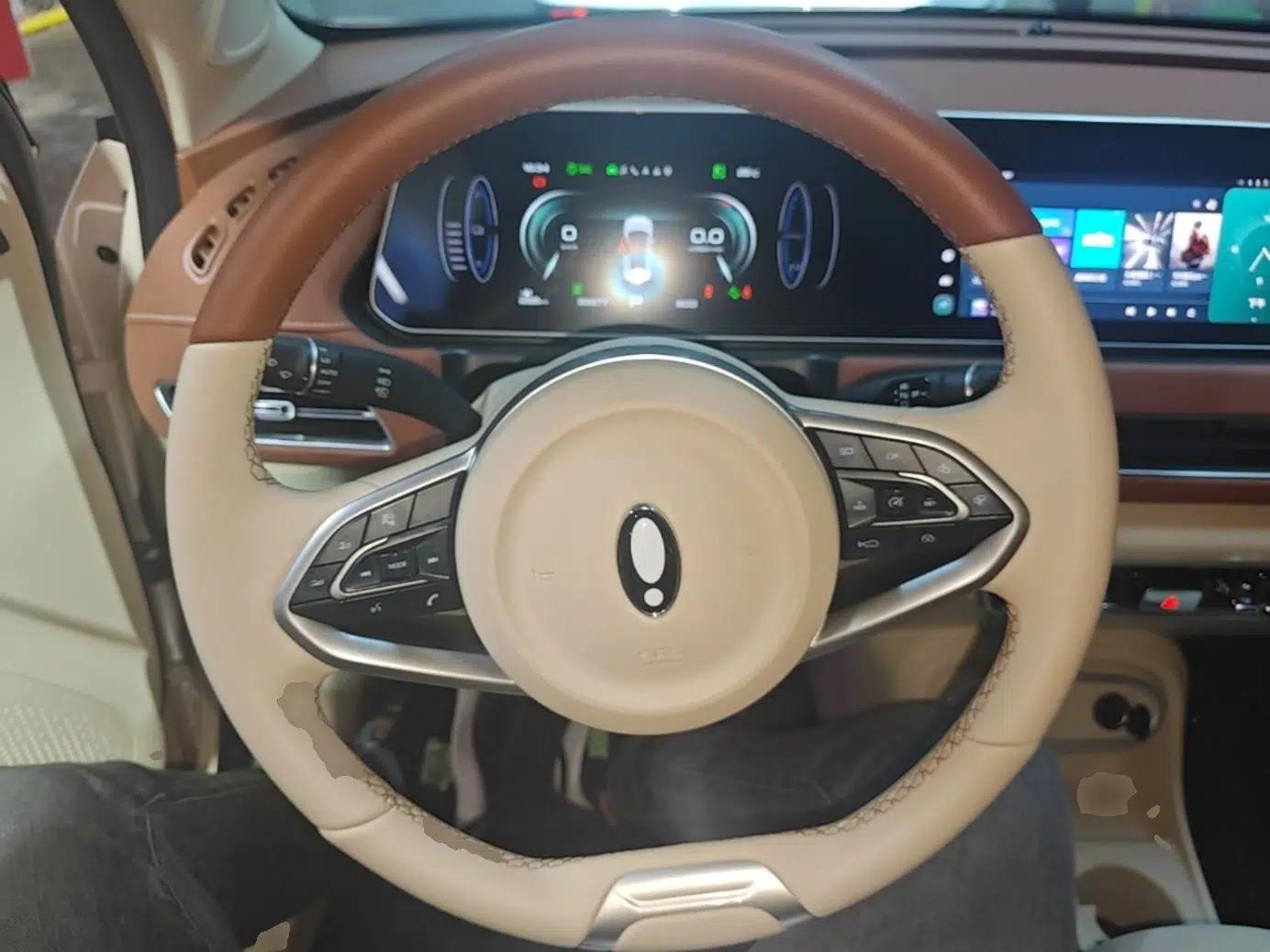 ORA Good Cat 2024 501 km Luxury Version — миниатюра 14