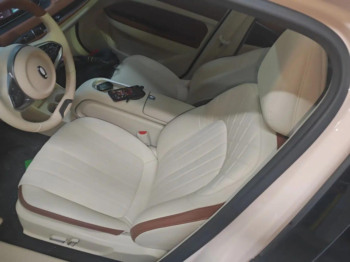 ORA Good Cat 2024 501 km Luxury Version — миниатюра 18