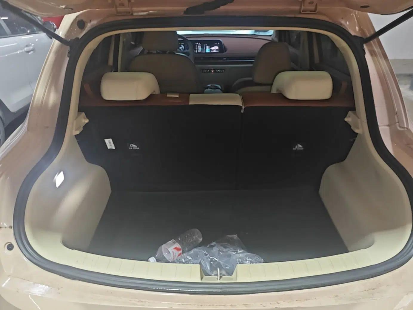 ORA Good Cat 2024 501 km Luxury Version — миниатюра 20