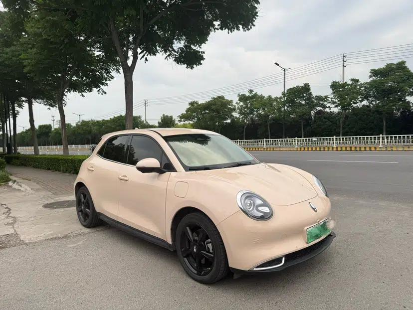 ORA Good Cat 2024 501 km Luxury Version — миниатюра 3
