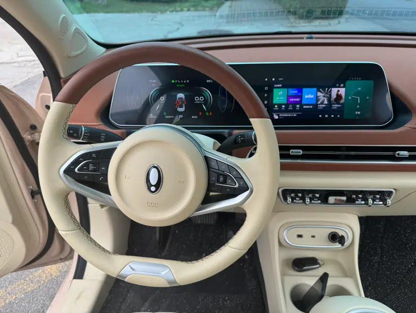 ORA Good Cat 2024 501 km Luxury Version — миниатюра 25