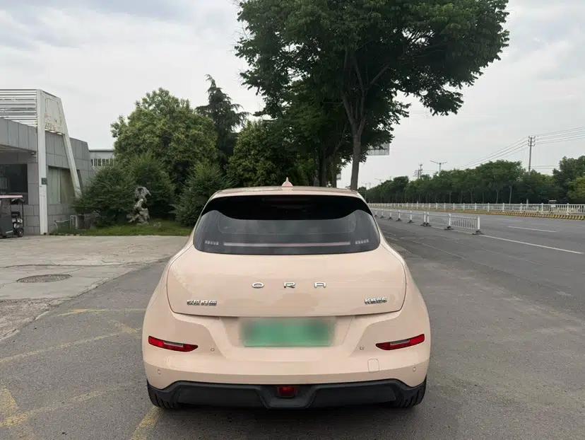 ORA Good Cat 2024 501 km Luxury Version — миниатюра 4